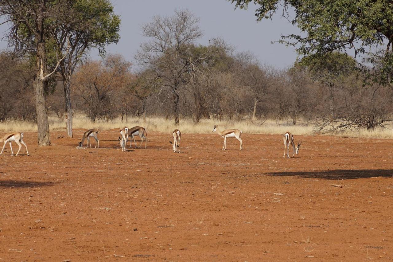 Kwele Game Lodge Beauty Exterior photo