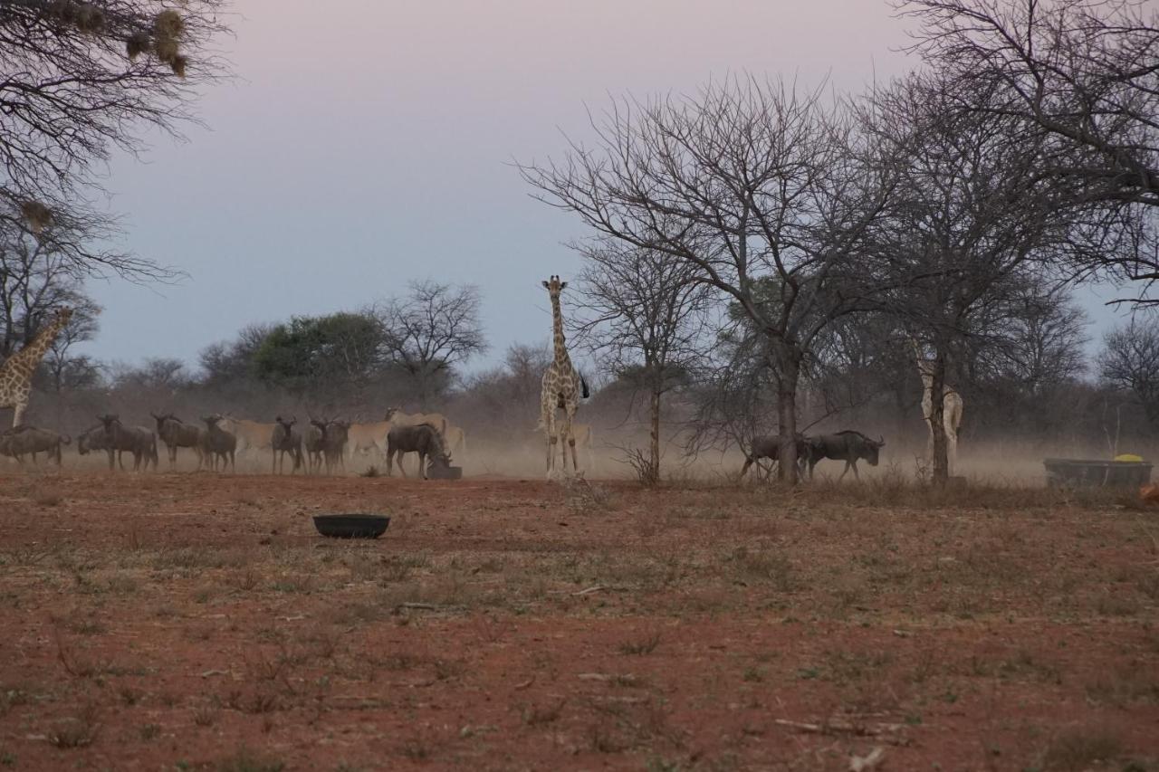 Kwele Game Lodge Beauty Exterior photo